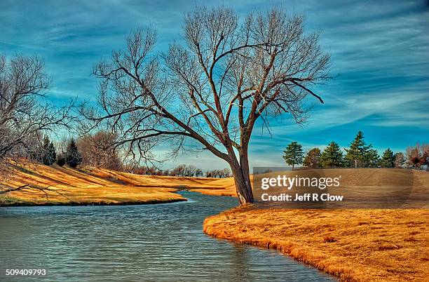 golden image - oklahoma stock pictures, royalty-free photos & images