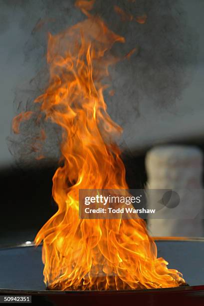 The Olympic Flame burns in a cauldron at the Summer Palace during Day 6 of the ATHENS 2004 Olympic Torch Relay June 9, 2004 in Beijing. The Olympic...