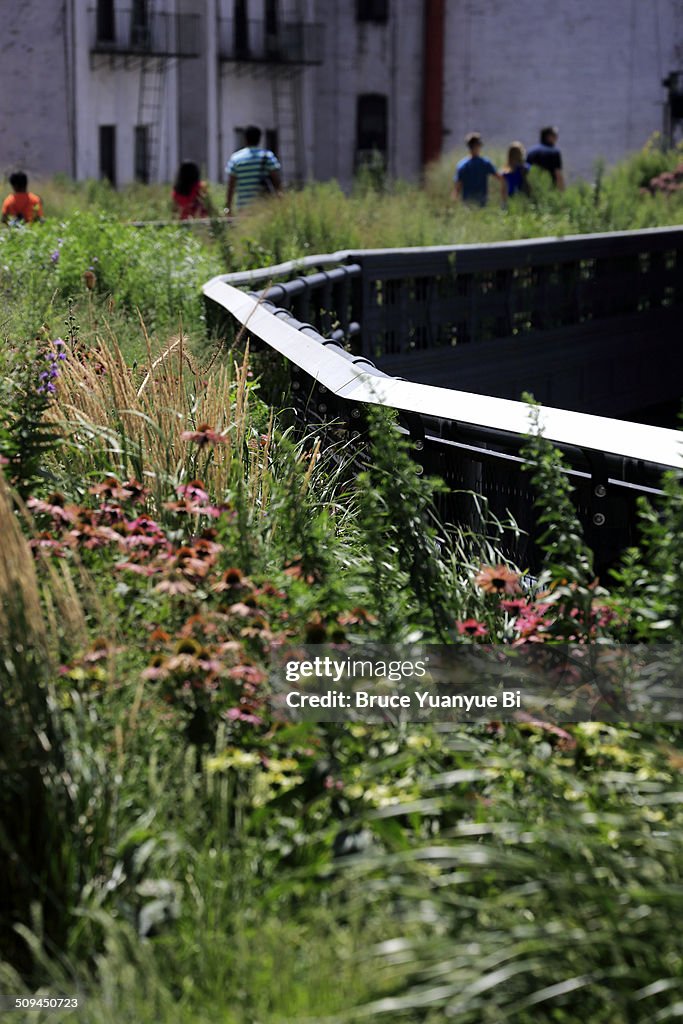 The High Line