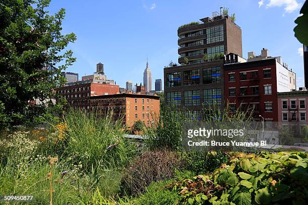 lower west side with empire state building - urban garden stockfoto's en -beelden
