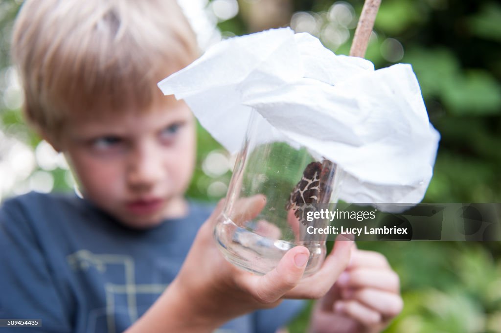 Young boy looking at large moth in mason jar