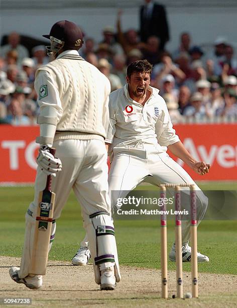 Steve Harmison of England celebrates the wicket of Craig McMillan of New Zealand, during the first day of the third npower Test Match between England...