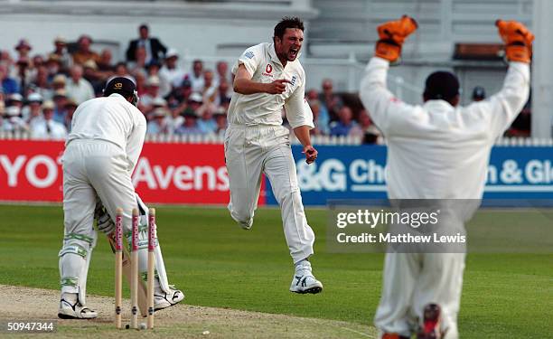 Steve Harmison of England celebrates bowling Nathan Astle of New Zealand, during the first day of the third npower Test Match between England and New...