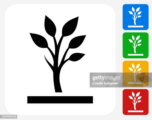 growing tree icon flat graphic design - sapling isolated stock illustrations