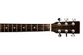 Guitars neck fretboard and headstock