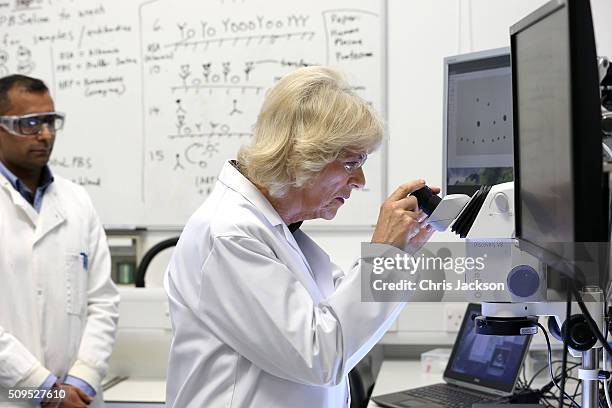 Camilla, Duchess Of Cornwall visits the Hybrid Bio Devices Lab at the University Of Southampton where she was also awarded an Honourary Doctorate on...