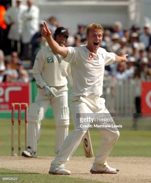 Andrew Flintoff of England celebrates his wicket of Nathan Astle of New Zealand during the third day of the third npower Test Match between England...