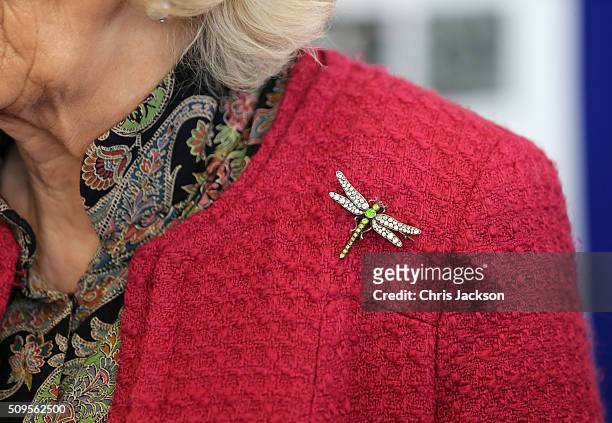 Butterfly brooch worn by Camilla, Duchess Of Cornwall at the University Of Southampton where she is to be awarded an Honourary Doctorate on February...