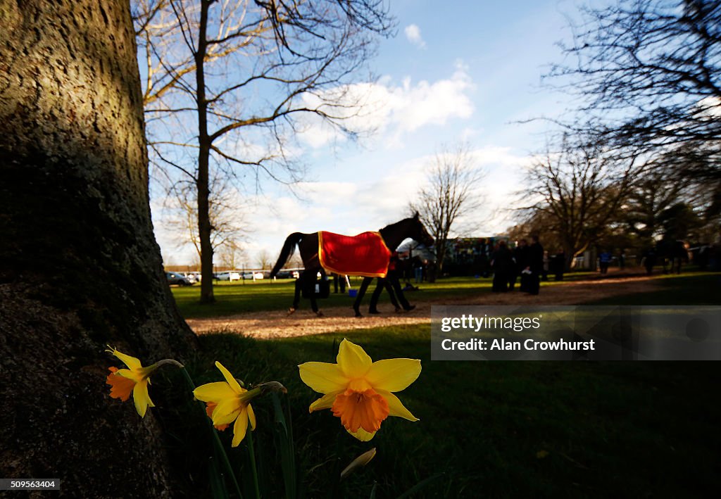 Huntingdon Races