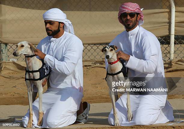 Emirati men wait with their Arabian saluki dogs for the start of the traditional annual dog race in Shweihan on the outskirts of Abu Dhabi on...