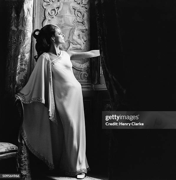Antonella Agnelli stands in the Palazzo Doria, the Brazilian Embassy in Rome wears a Mila Schon silk and diamond trimmed evening gown made of Bini...