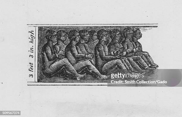 Engraving of chained African slaves in cargo hold of the slave ship Amistad, from Africa to Havana, measuring three feet and three inches high, by...