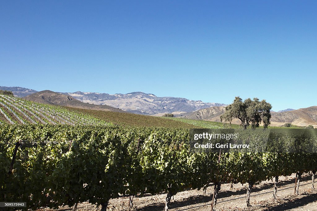 Santa Ynez Valley, California