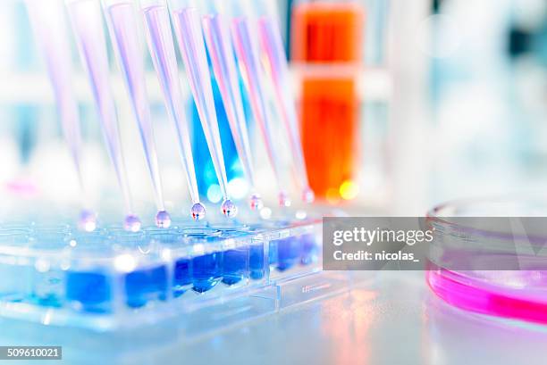 laboratoire - biology stock photos et images de collection