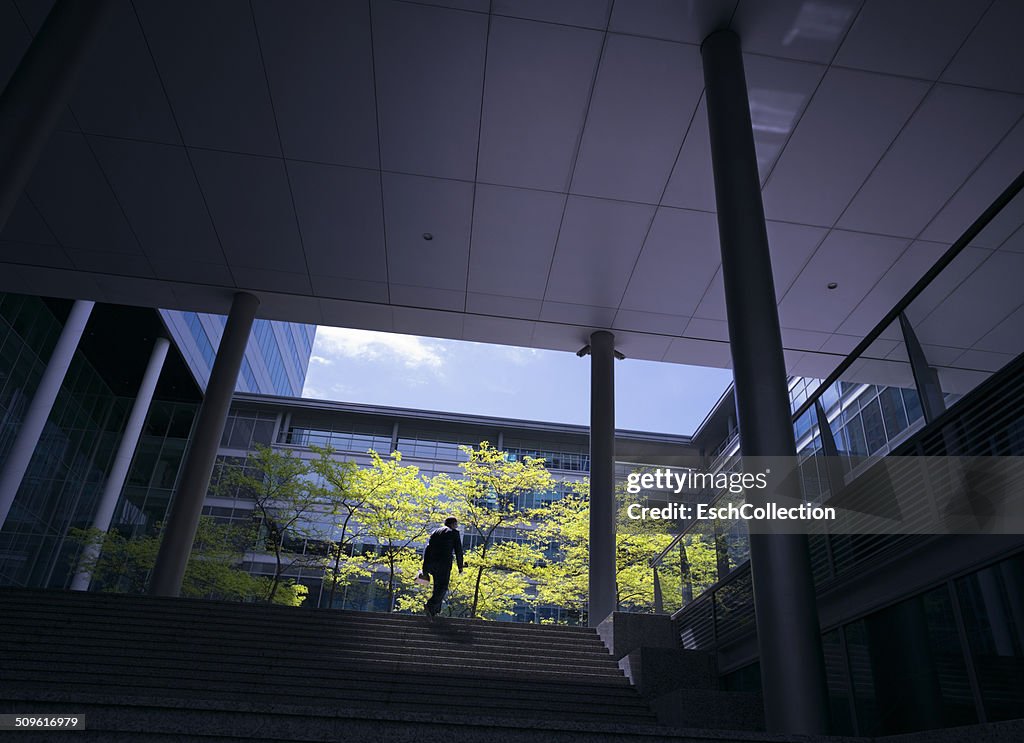 Sunlight hitting trees at modern business district