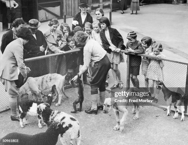 Monkey, a dog, a sheep and several goats are among the attractions at Pets' Corner, part of Dudley Zoo in Worcestershire, 12th July 1938. Formerly...