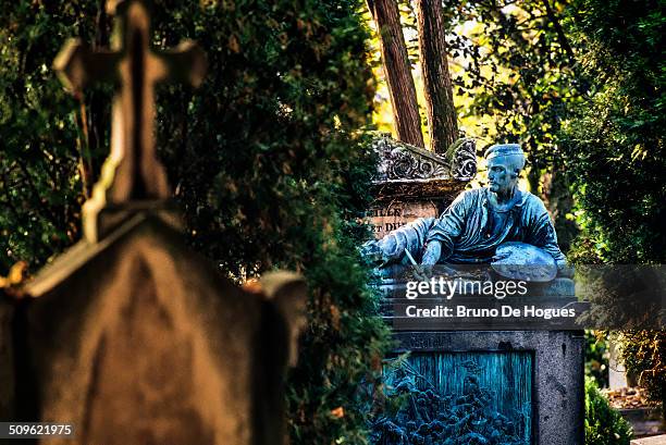 pere lachaise cemetery in paris, france - pere lachaise cemetery stock pictures, royalty-free photos & images