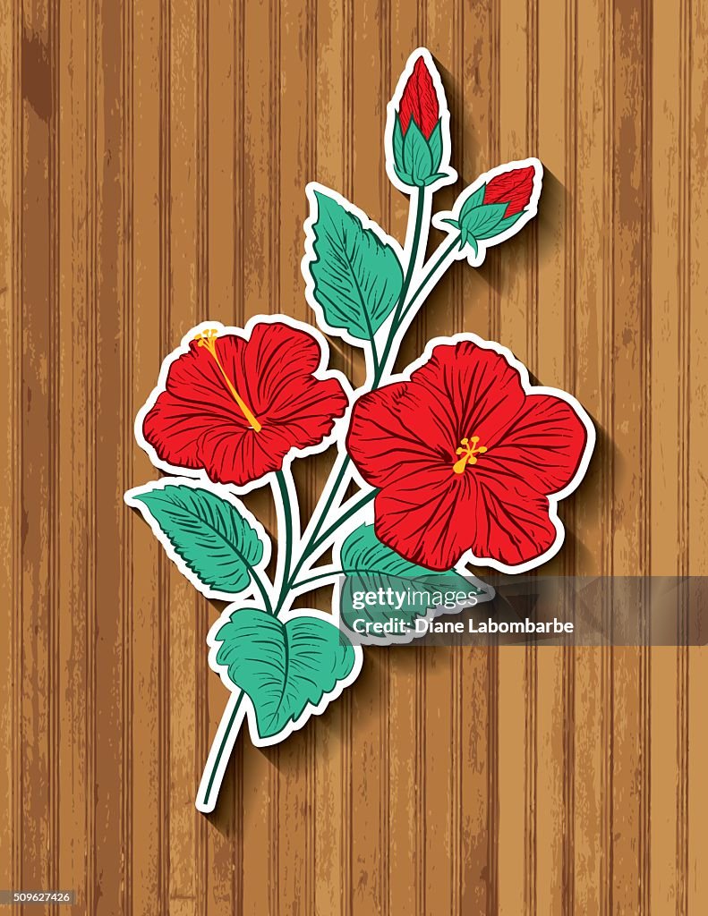 Hibiscus Flowers Stciker On Wood Background