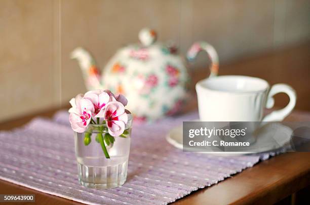 geranium and breakfast - rosa mantel stock pictures, royalty-free photos & images