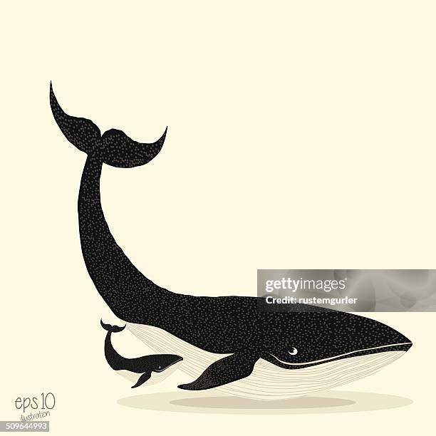 whale and her cub - whale tail illustration stock illustrations