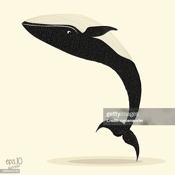 whale - whale tail illustration stock illustrations