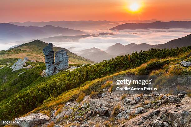 misty dawn in the mountains - carpathian mountain range stock pictures, royalty-free photos & images
