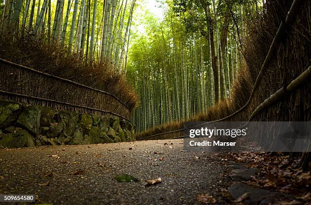 450 Sagano Bamboo Forest Stock Photos, High-Res Pictures, and Images