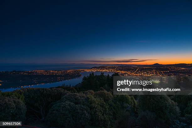 city of dunedin at dusk - dunedin new zealand stock-fotos und bilder