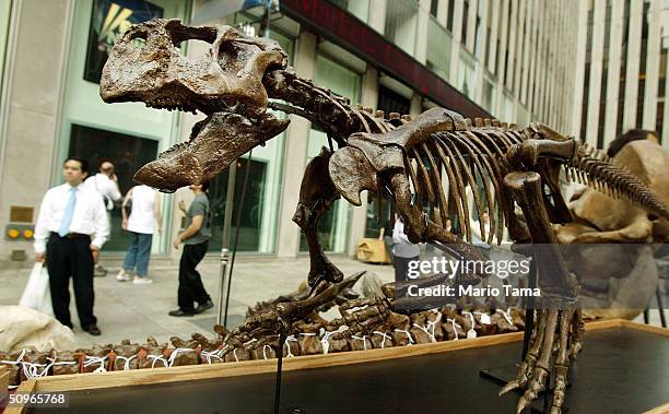 Onlookers view a Psittacosaurus skeleton outside the Fox studios which will be auctioned along with other dinosaur fossils and pre-historic creatures...