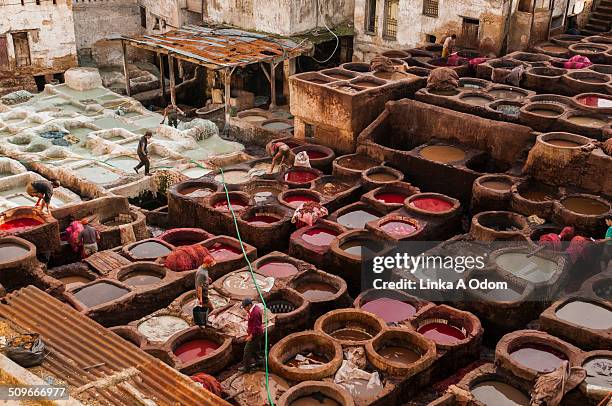 people working in a leather tannery in fez. - leather industry stock pictures, royalty-free photos & images