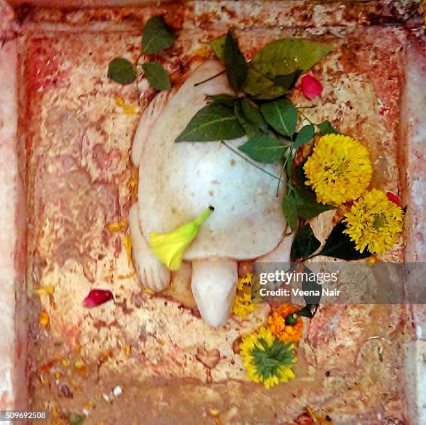 lord shiva-nandi-tortoise-somnath-gujarat - jyotirlinga stock pictures, royalty-free photos & images