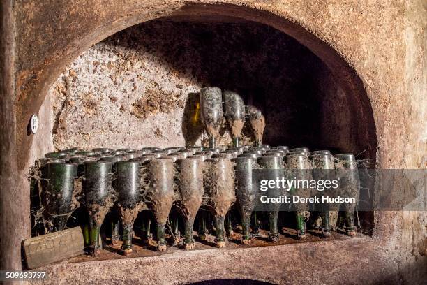 View of bottles in an alcove in the Dom Perignon cellars of the Moet & Chandon winery, Epernay, France, October 2009.
