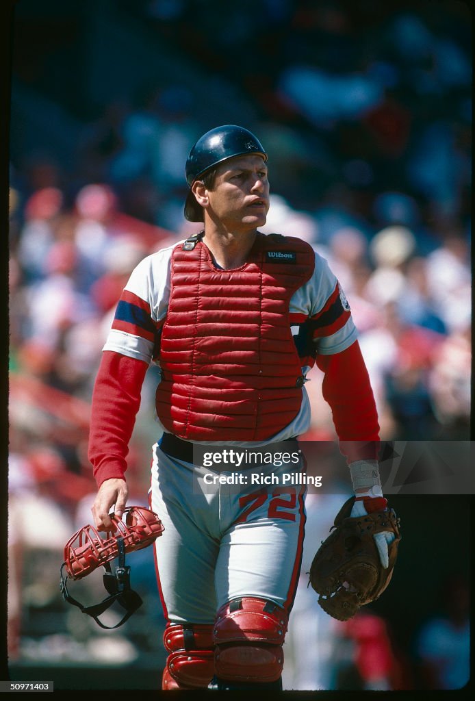 MLB Photos Archive