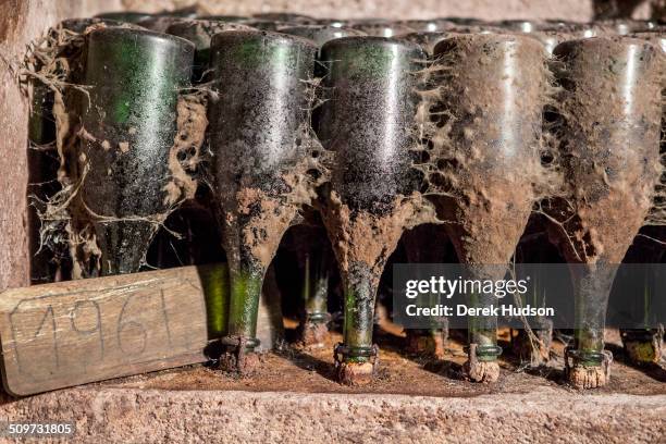 View of bottles in an alcove in the Dom Perignon cellars of the Moet & Chandon winery, Epernay, France, October 2009.