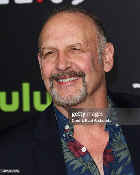 Actor Nick Searcy attends the premiere of Hulu's new series "11.22.63" at Regency Bruin Theatre on February 11, 2016 in Los Angeles, California.