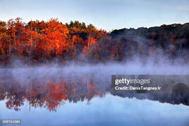 autumn on turtle pond in boston's west roxbury neighborhood - west roxbury stock pictures, royalty-free photos & images