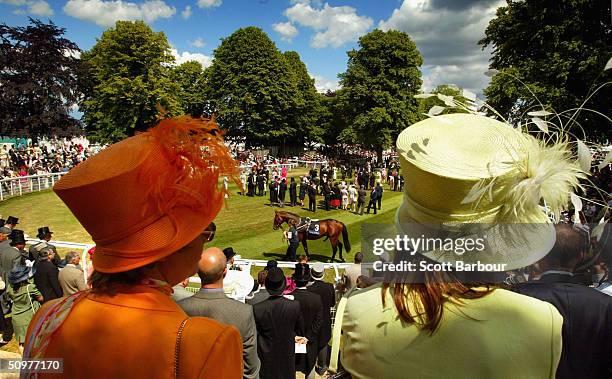 Racegoers view the horses in the parade ring before a race during the final day of Royal Ascot at the Ascot Racecourse on June 19, 2004 in Berkshire,...