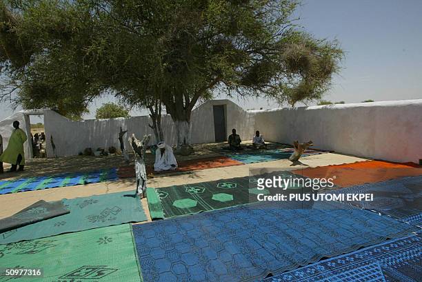 Muslim faithful pray 19 June, 2004 under a tree at a mosque built 200 years ago at Gudu district of Sokoto State of northern Nigeria, where Shehu...