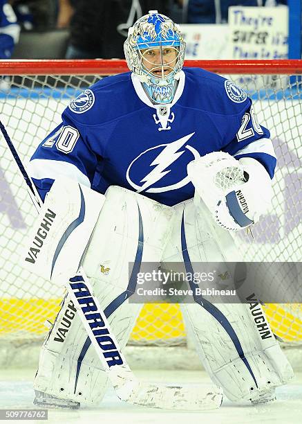 Goaltender Evgeni Nabokov of the Tampa Bay Lightning plays in the game against the Arizona Coyotes at Amalie Arena on October 28, 2014 in Tampa,...