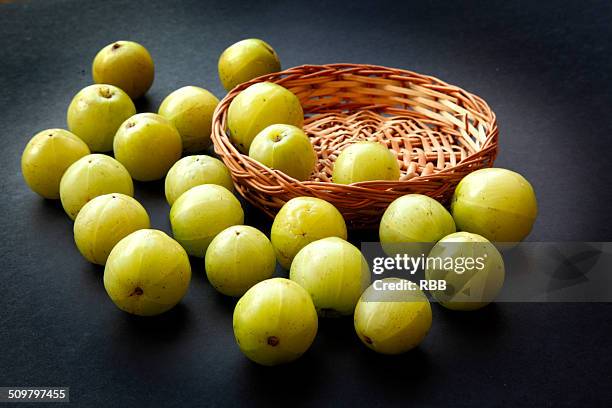 amla the indian gooseberry - stachelbeere stock-fotos und bilder