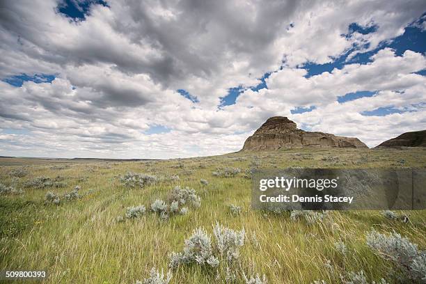 castle butte saskatchewan - regina saskatchewan foto e immagini stock