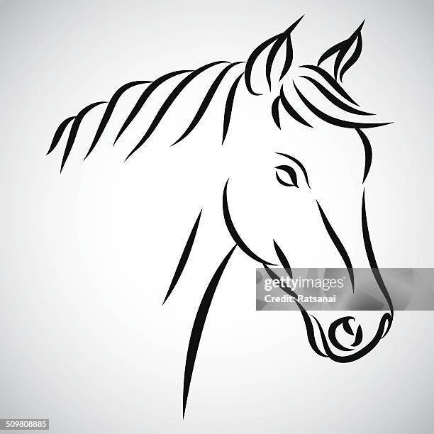 bildbanksillustrationer, clip art samt tecknat material och ikoner med horse head - animal head