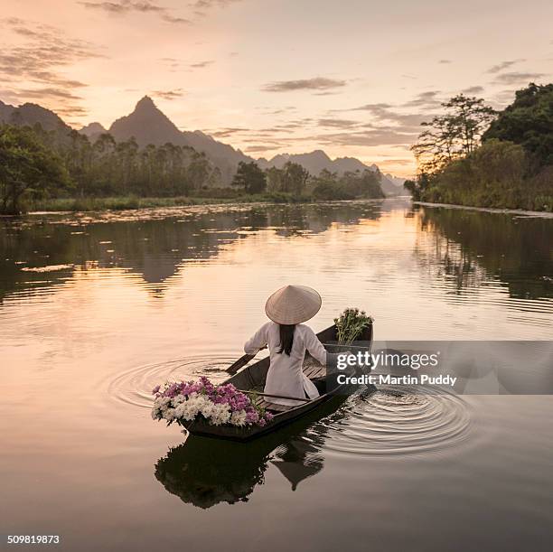 woman rowing boat along river, carrying flowers - hanoi stock pictures, royalty-free photos & images