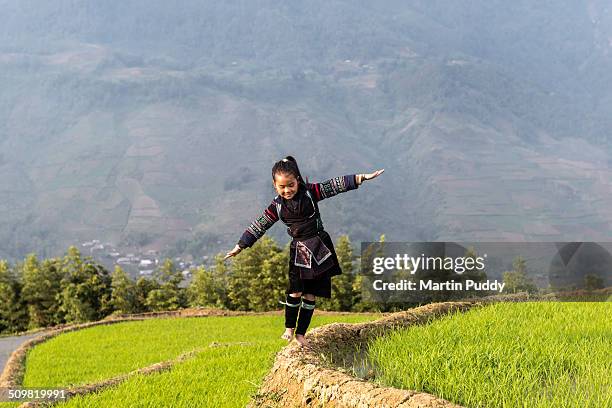 hill tribe girl walking along rice paddy - vietnam girl stock pictures, royalty-free photos & images