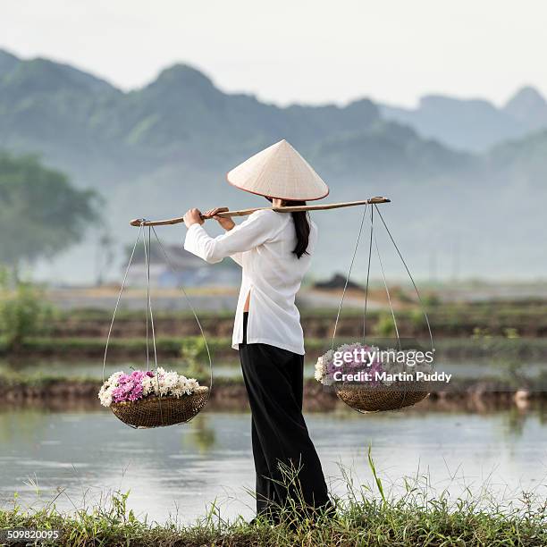 vietnamese woman carrying baskets of flowers - asian style conical hat stock pictures, royalty-free photos & images