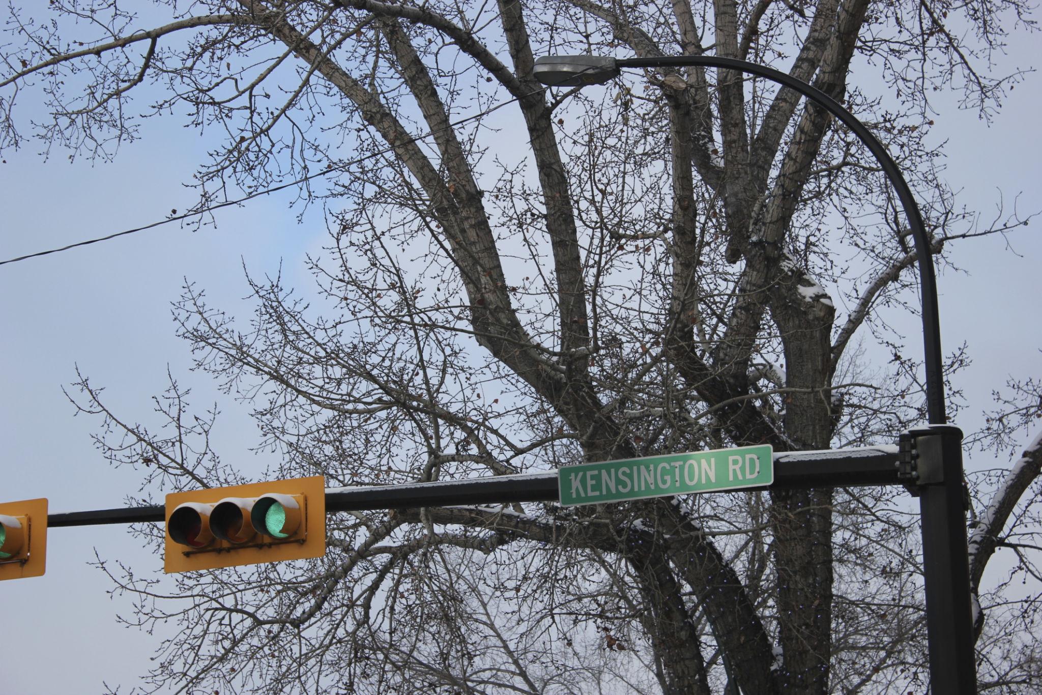 kensington calgary