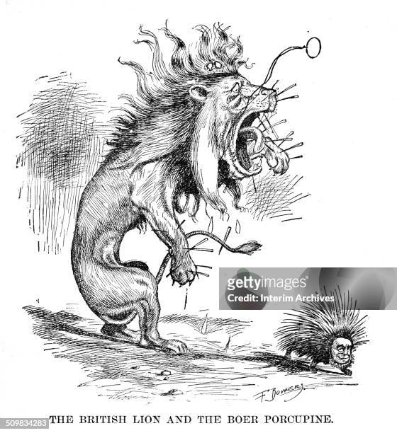 Editorial cartoon depicts a British lion as it recoils in pain, pierced by multiple quills from a porcupine that represents South African President...