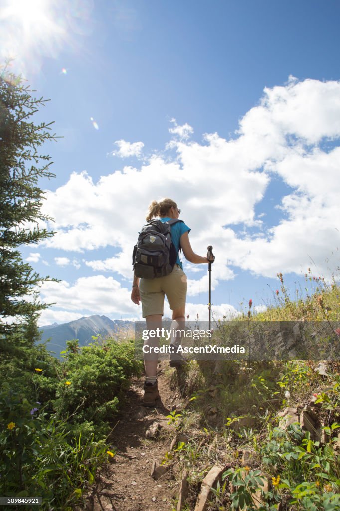 Female hiker ascends trail through mountain meadow