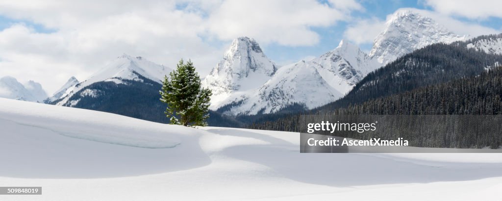 Mountain winter landscape, with snow cornice