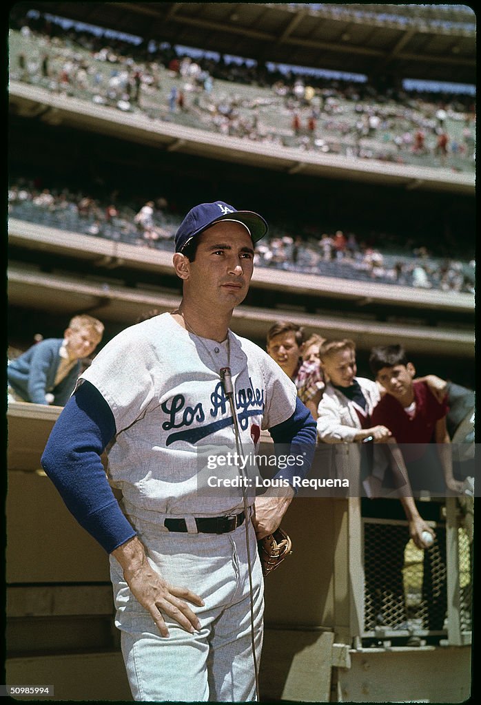 Sandy Koufax of the Los Angeles Dodgers poses for a portrait circa ...